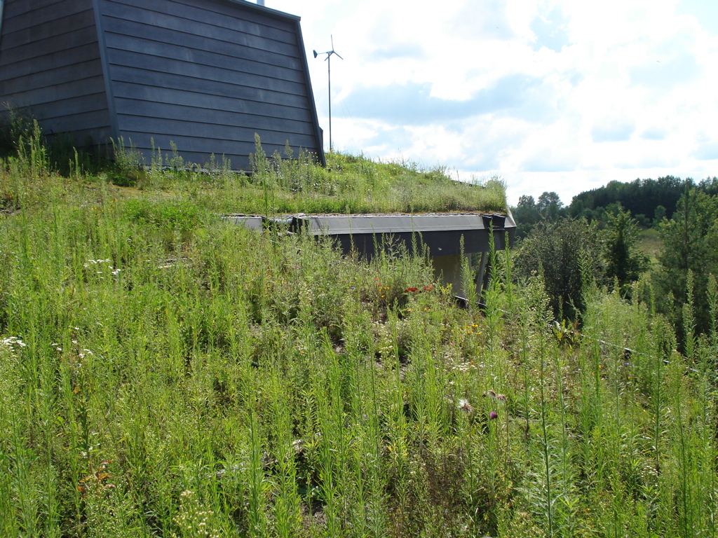 Green Roof